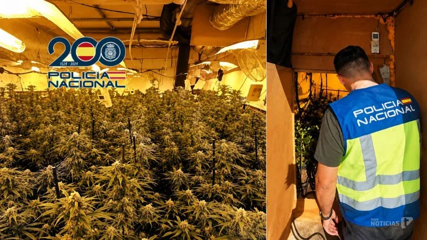 Operación policial contra el cultivo de marihuana en un cuarto de aperos de Sanlúcar