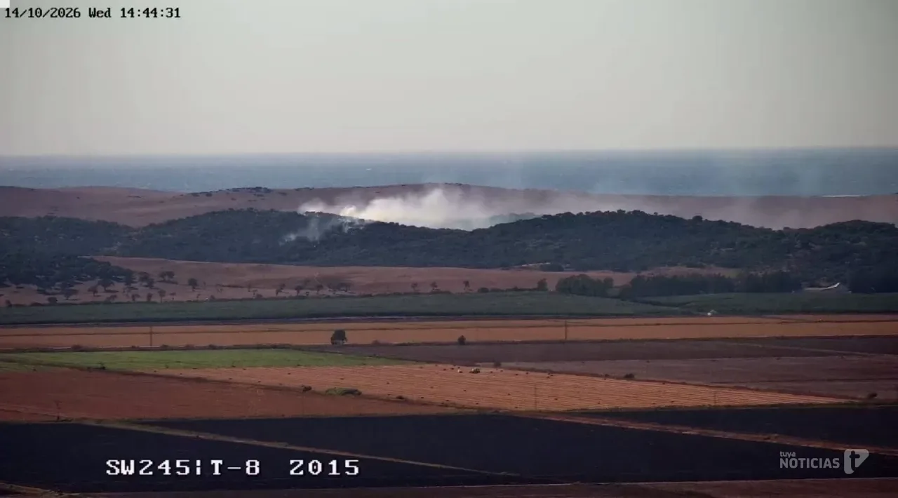 Se declara un incendio forestal en la zona de El Retín de Barbate