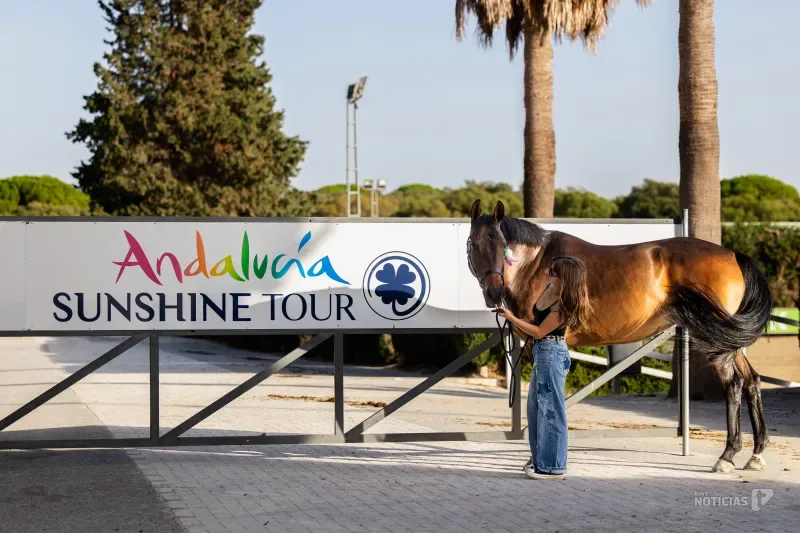 El VI Andalucía October Tour abre su fase internacional con más de 700 caballos en competición
