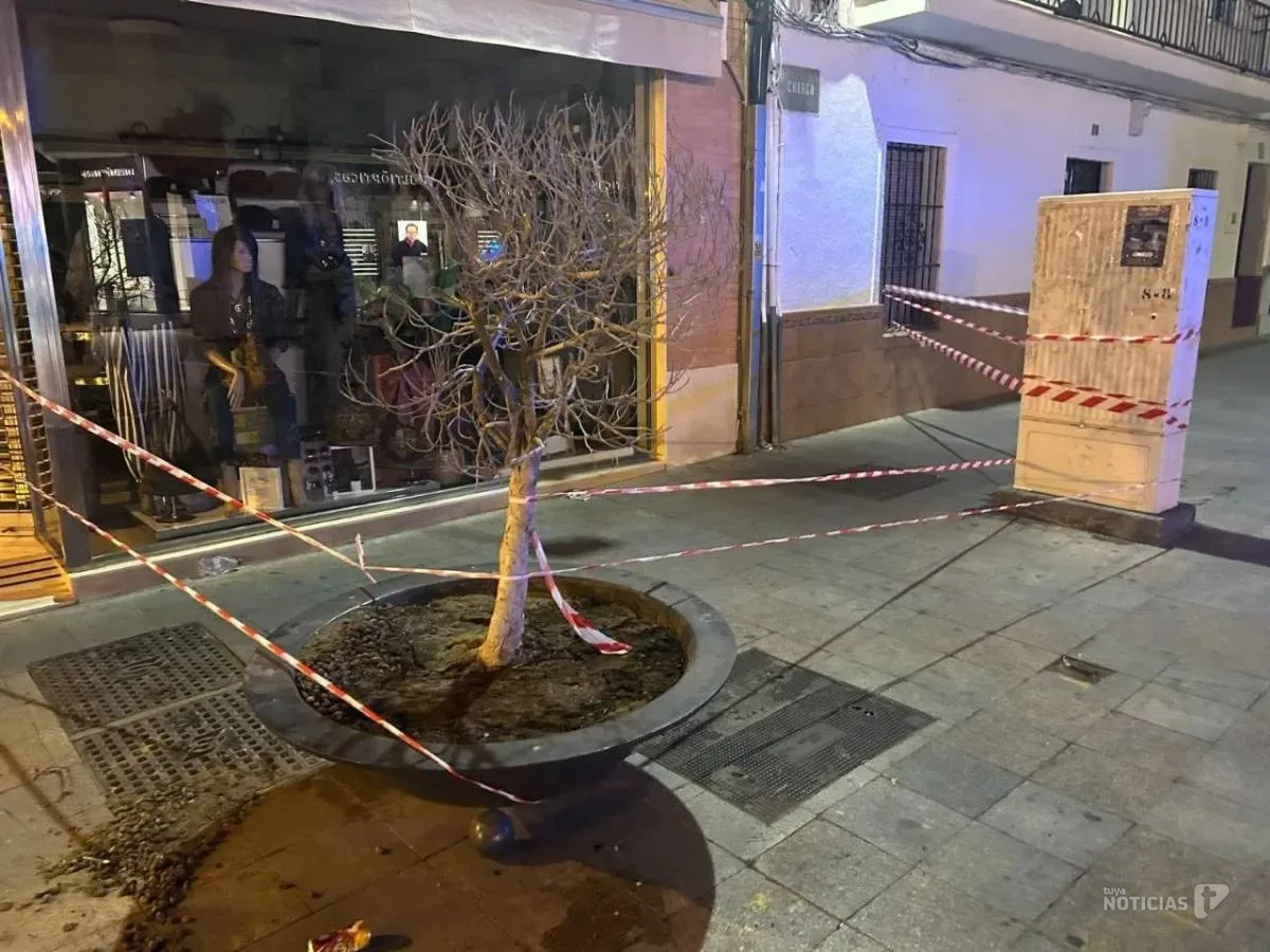 Pierde parte de un dedo tras volcar un macetón de la vía pública y lo buscan para reimplantarlo
