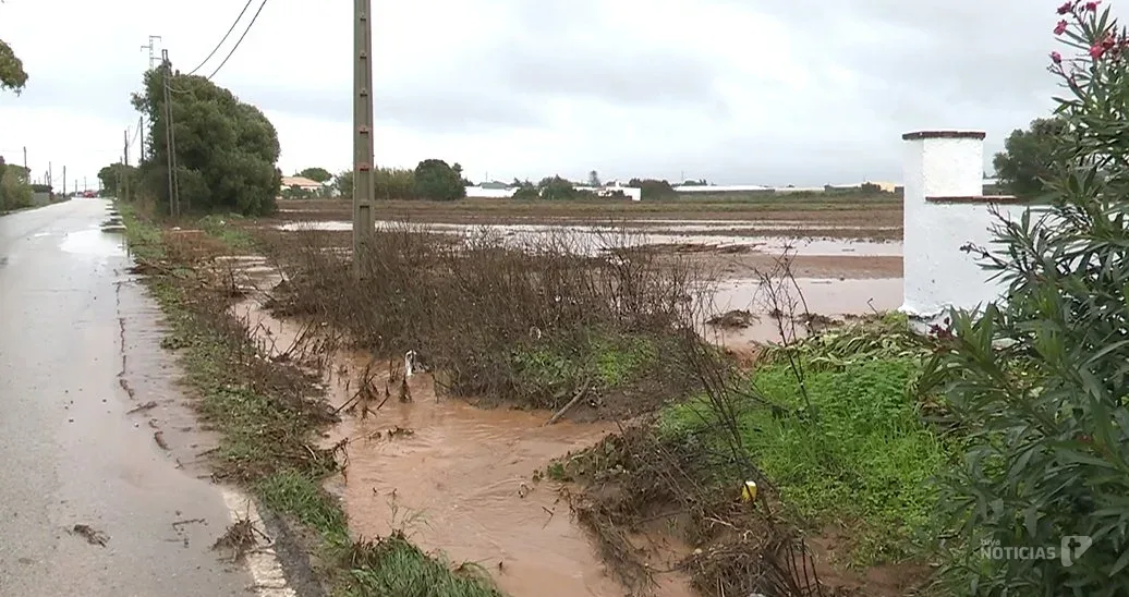 El PP de Conil denuncia que el Gobierno aún no ha resuelto las ayudas por las borrascas