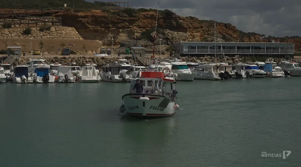 La Junta licita la vigilancia de 21 puertos andaluces por 3,7 millones de euros