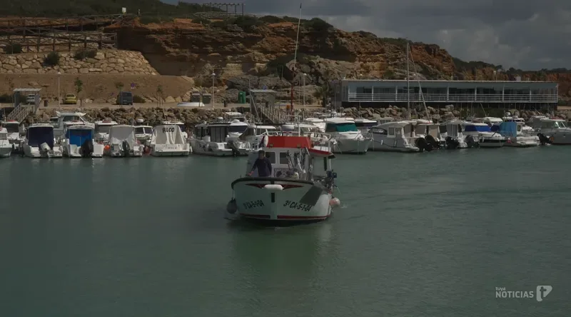 La Junta licita la vigilancia de 21 puertos andaluces por 3,7 millones de euros