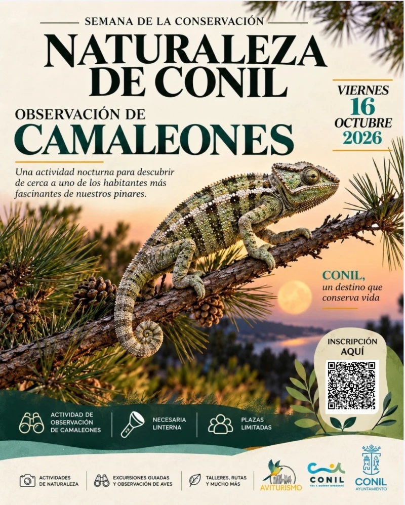 Observación de camaleones