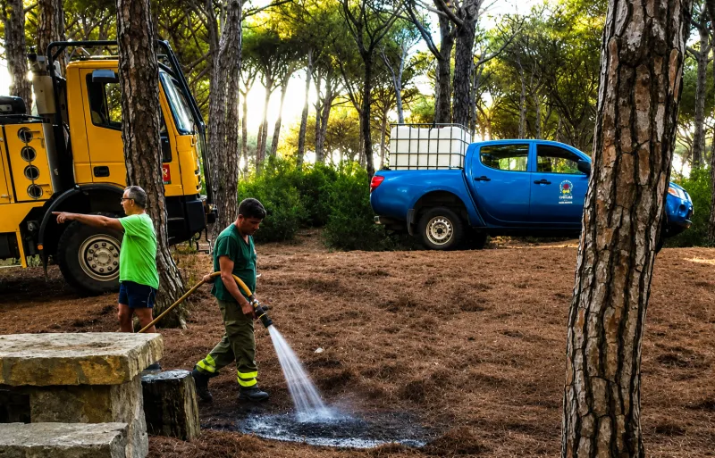 El Cartucho suspende la caza en la zona afectada por el incendio para favorecer su recuperación