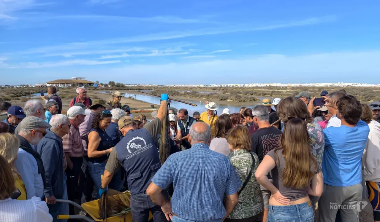 El despesque vuelve a reunir a Chiclana alrededor de uno de sus tesoros gastronómicos: el pescado de estero