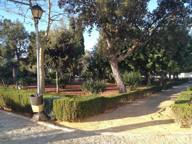 Una niña pierde la mano tras ser atacada por un perro en El Campito de Chiclana