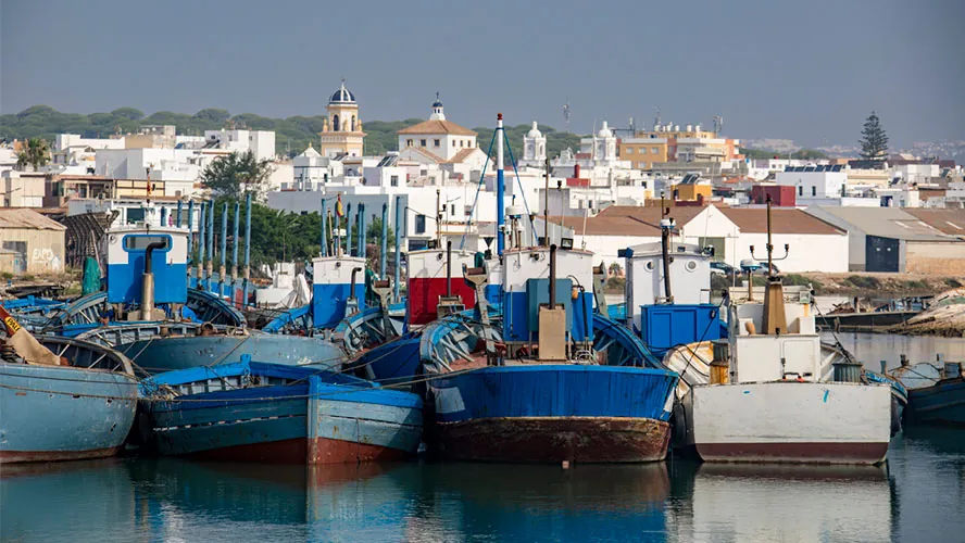 Barbate presenta su Semana del Atún con cifras récord y más de 40 restaurantes