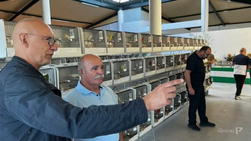 Más de 900 aves convierten La Janda en el epicentro de la ornitología con un concurso inédito en la comarca