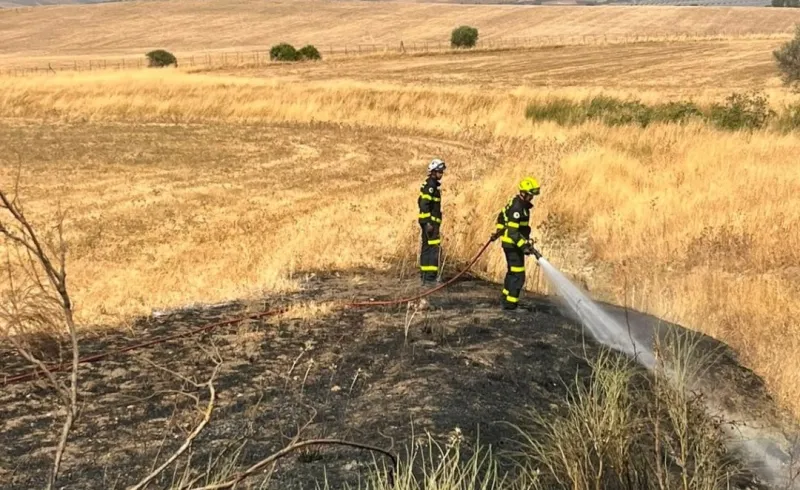 Incendio de pastos junto a la CA-5200 calcina unos 500 metros cuadrados en San José del Valle