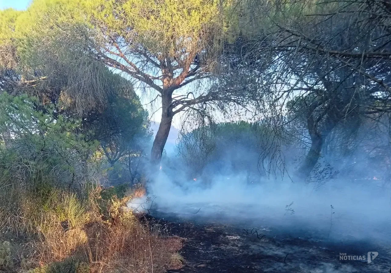 Extinguido el incendio forestal declarado en el Parque Natural de La Breña
