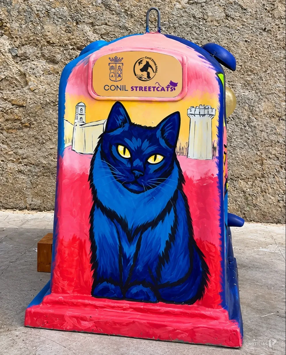 Así es el primer Gato-Hotel de Conil