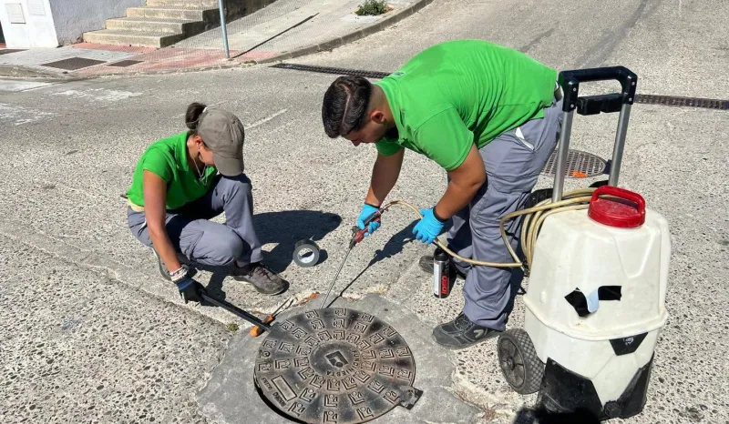 Vejer inicia una nueva campaña contra roedores e insectos en todo el municipio