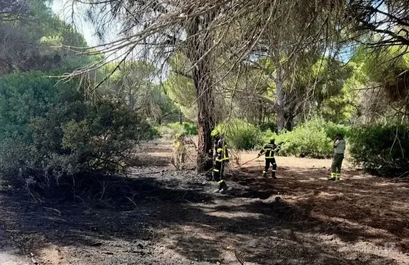 Extinguido el incendio en el Chinarejo tras la rápida actuación de los servicios de emergencia