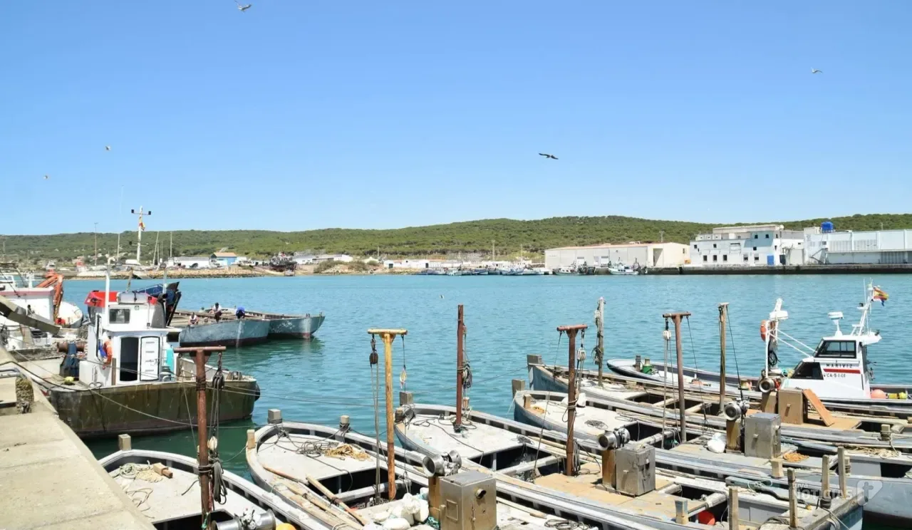 Barbate se planta ante la subida del hielo: el Ayuntamiento sale en defensa de los pescadores