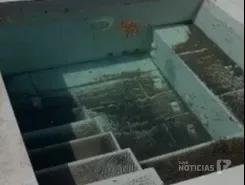 Vecinos de Pago del Humo denuncian plagas de moscas por vertido de estiércol