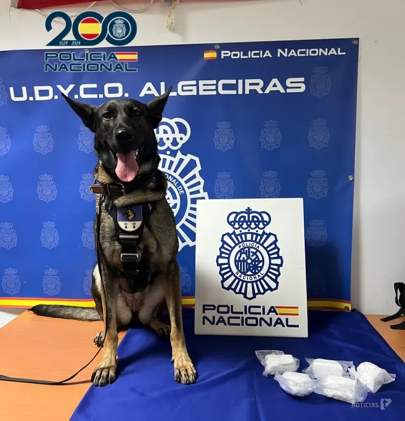 Detenidas dos personas con más de medio kilogramo de cocaína en Algeciras