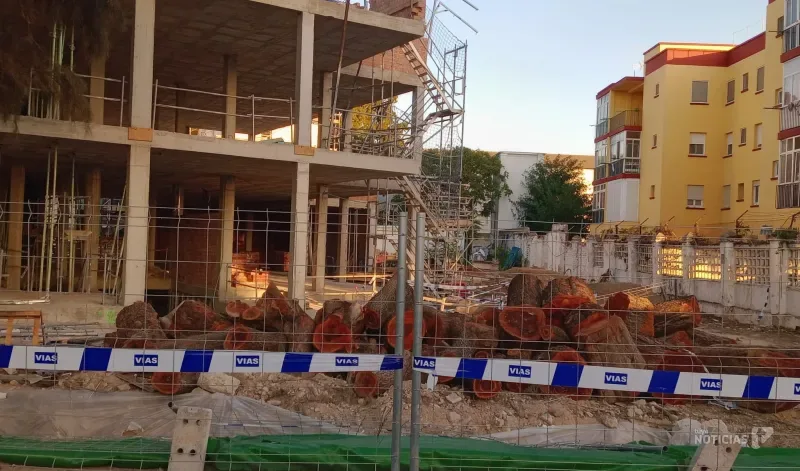 ¿Dónde faltan árboles en Chiclana? Un gran mapa ciudadano busca respuestas