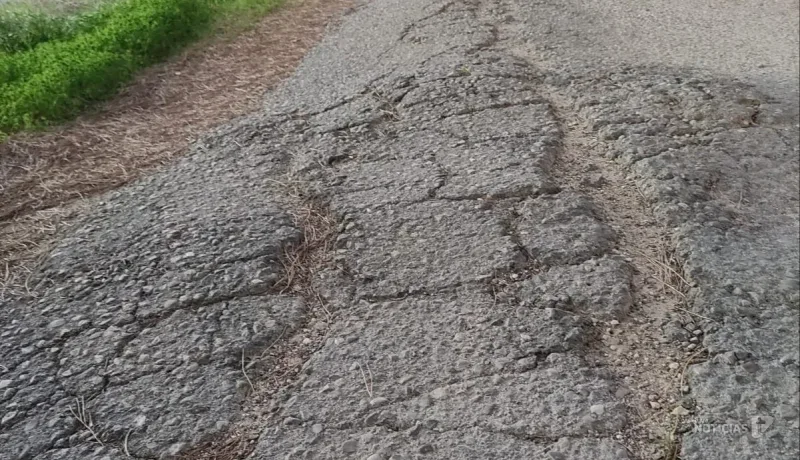 100x100 Unidos reclama un plan de asfaltado para los carriles de Conil y denuncia el "abandono" de varias zonas rurales