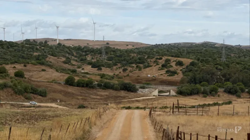 Avanzan las obras de emergencia en los carriles municipales de Medina Sidonia