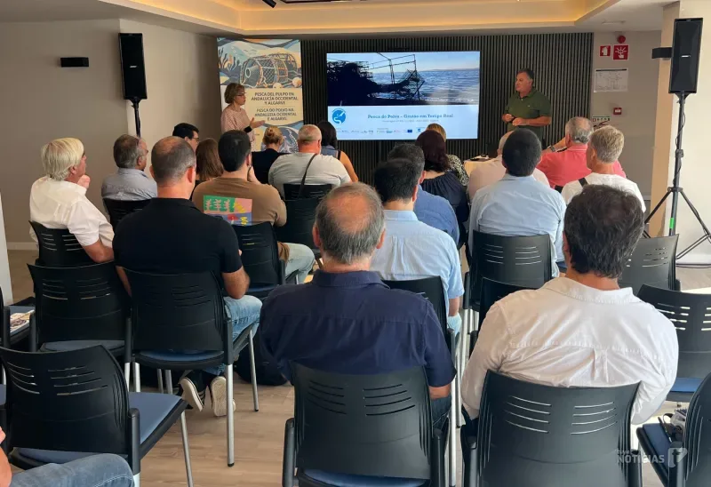 Andalucía y Portugal refuerzan la cooperación para una gestión sostenible de la pesca del pulpo
