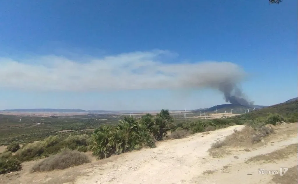Un incendio en El Pedregoso moviliza a 90 efectivos