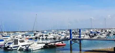El Concurso de Pesca de Altura Ciudad de Chiclana regresa a Sancti Petri con cerca de 5.000 euros en premios