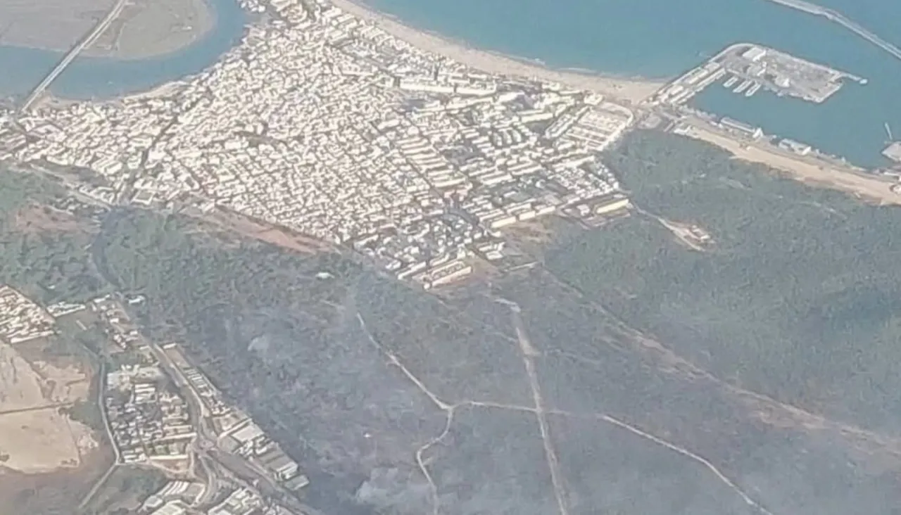 Barbate recupera la normalidad tras el incendio forestal de Los Visos