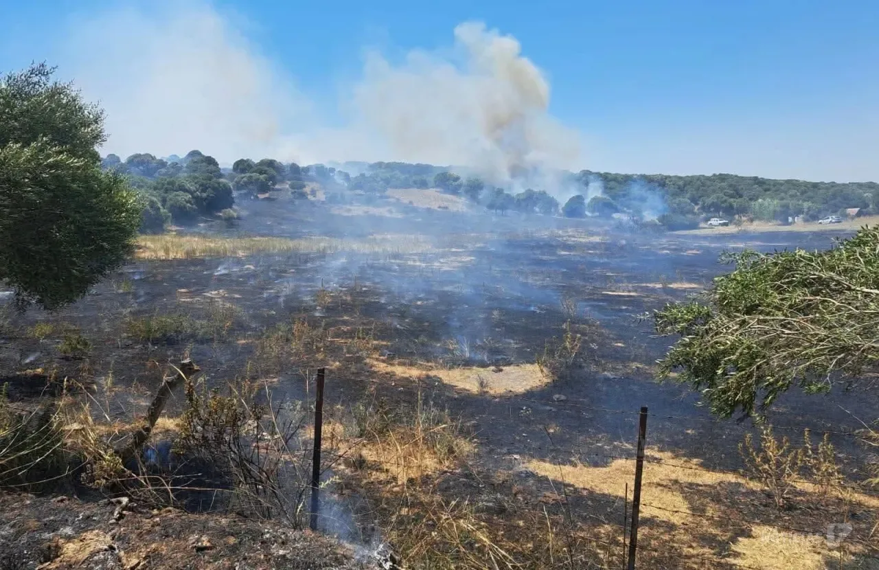 Controlado el incendio de Paternilla tras una noche de trabajos de extinción