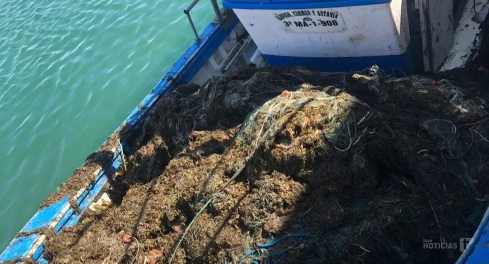 OPP72 se suma a un proyecto nacional para buscar soluciones al impacto del alga asiática