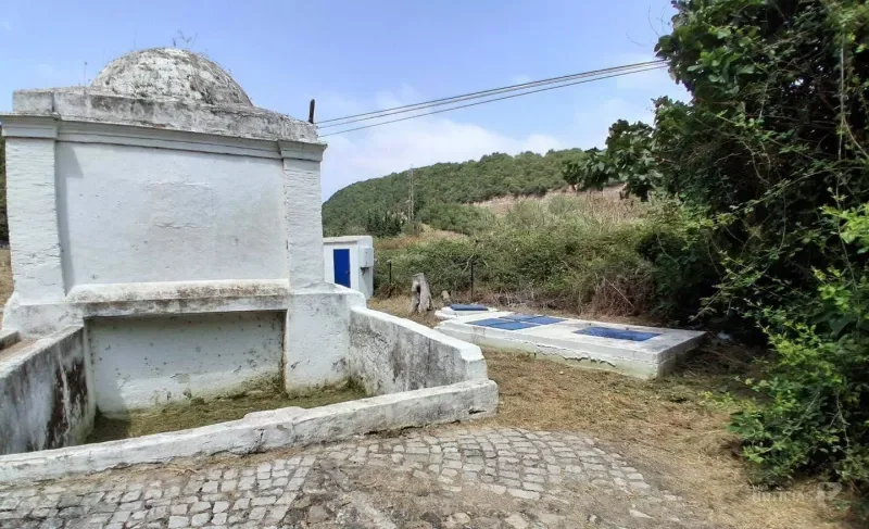 Vejer refuerza la prevención frente al Virus del Nilo Occidental