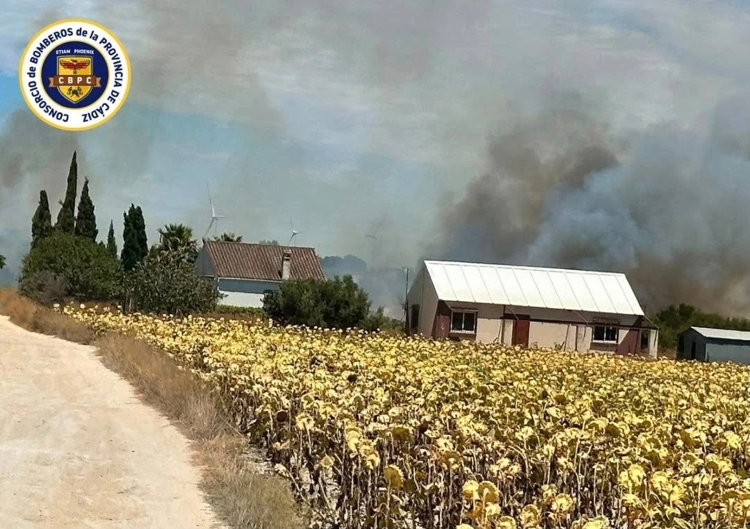 Los bomberos sofocan un incendio de vegetación en el Camino del Fontanal de Chiclana