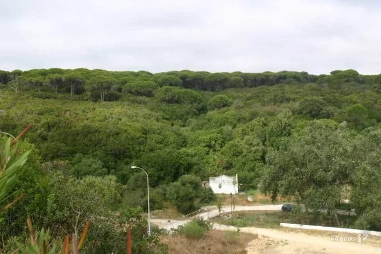 La Junta rechaza nuevamente la urbanización El Següesal Golf Resort en Barbate