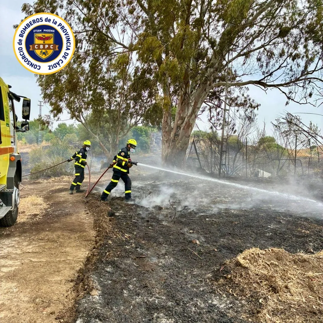 Un incendio de vegetación en El Berrueco moviliza a bomberos y Infoca durante la tarde del martes