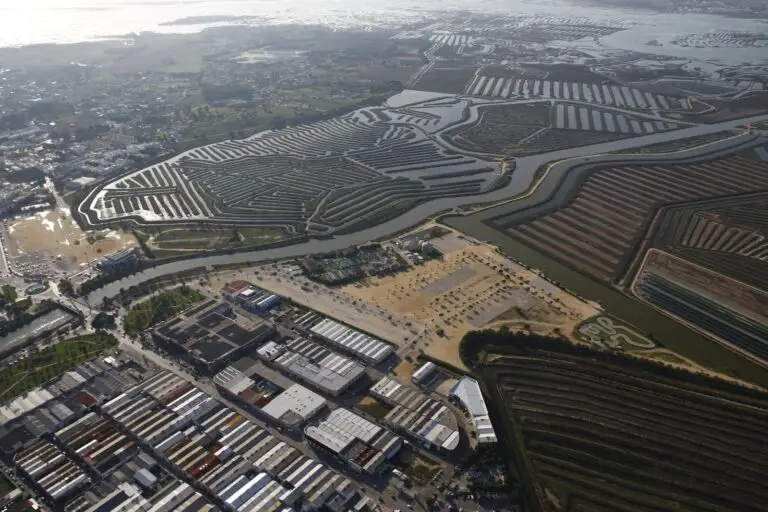 Más de 600 establecimientos de Chiclana forman parte de la economía azul