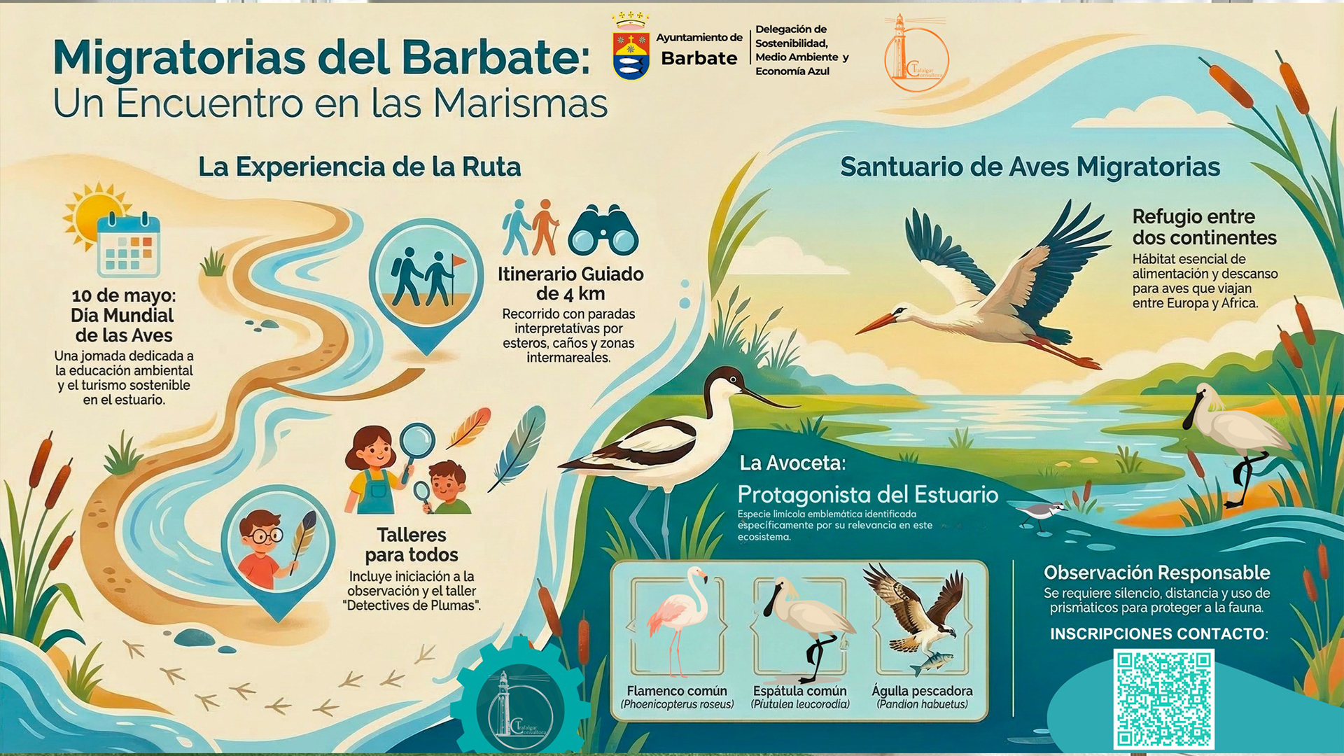 Barbate organiza rutas y talleres en sus marismas por el Día Mundial de las Aves