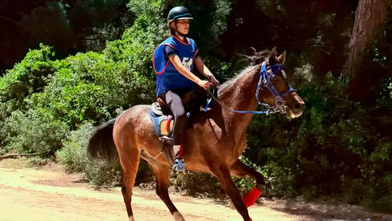 Conil vive una jornada ecuestre inolvidable en plena naturaleza