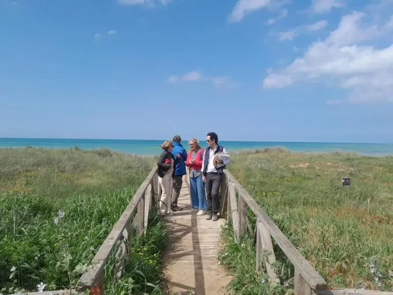 Ayuntamiento y Costas evalúan mejoras en los accesos a la playa de El Palmar