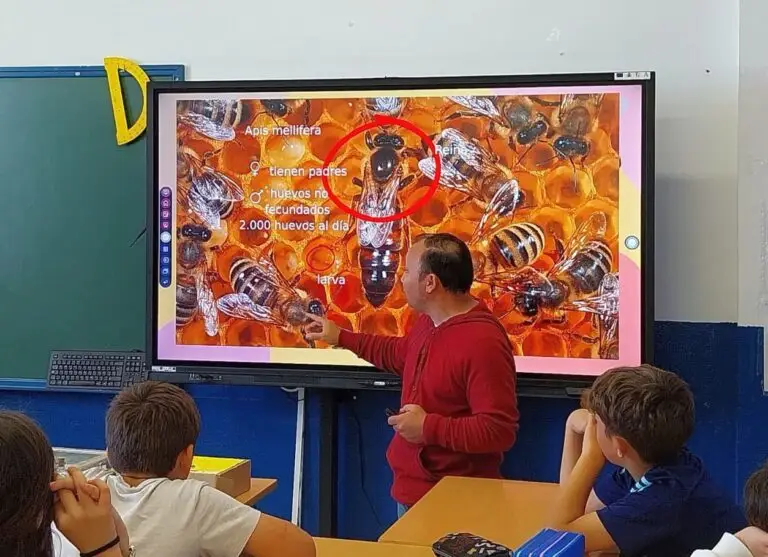 Educación ambiental en Chiclana: escolares descubren el mundo de las abejas