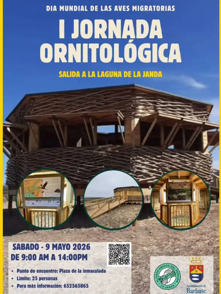 Barbate lanza una experiencia única para ver aves migratorias en libertad