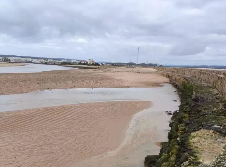 El PSOE exige a Moreno Bonilla el dragado del río Barbate y lamenta que no se haya aprovechado la draga del puerto