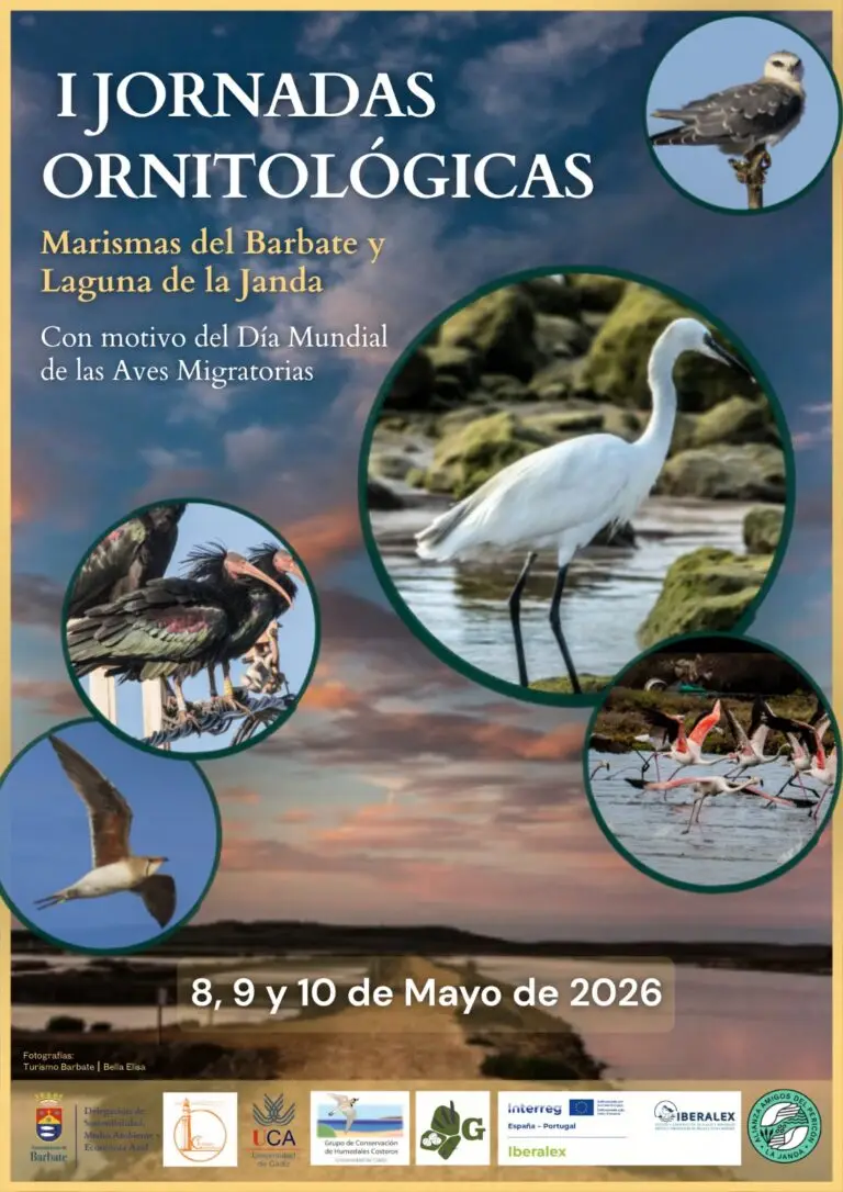 Barbate celebra las I Jornadas Ornitológicas “Marismas del Barbate y Laguna de La Janda”