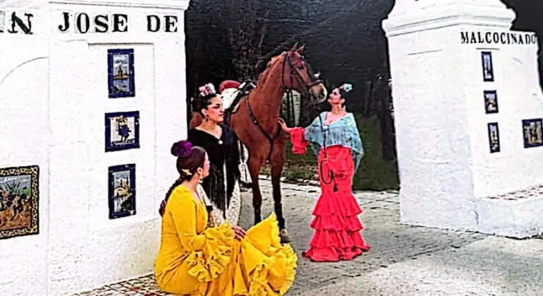 El Ayuntamiento de Medina Sidonia presenta la programación de la Romería de San Isidro en San José de Malcocinado